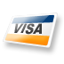 Para pagar con VISA, vía PayPal, haz clic en el botón "PAGAR AHORA"